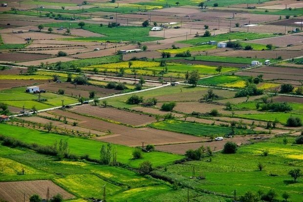 Kiçik torpaq sahələri ilə bağlı YENİLİK! Ekspert detalları açıqladı