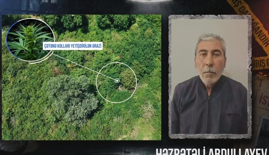 Çətənə kolu yetişdirən şəxsin saxlanılmasının ƏMƏLİYYAT GÖRÜNTÜSÜ