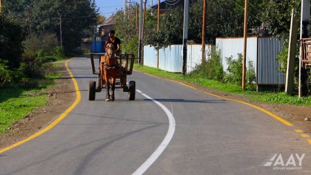 Masallıda 51 min əhalinin istifadə etdiyi yol yenidən qurulub VİDEO/FOTO