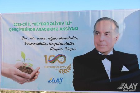 “Heydər Əliyev İli” çərçivəsində 100 min ağac əkilib VİDEO/FOTO