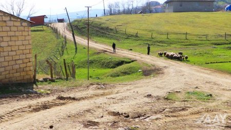 Yardımlıda 23.5 km uzunluğa malik avtomobil yollarının əsaslı təmirinə başlanılıb  VİDEO/FOTO