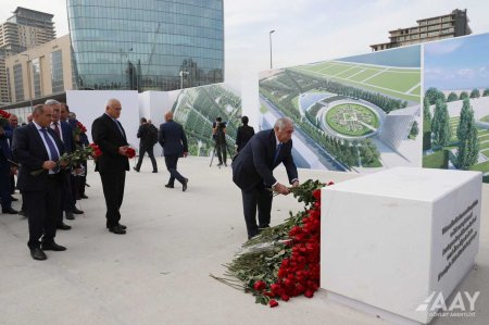 AAYDA-nın rəhbərliyi və əməkdaşları Zəfər parkında olublar FOTO